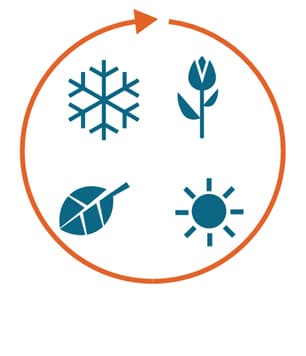 example of an icon - a year